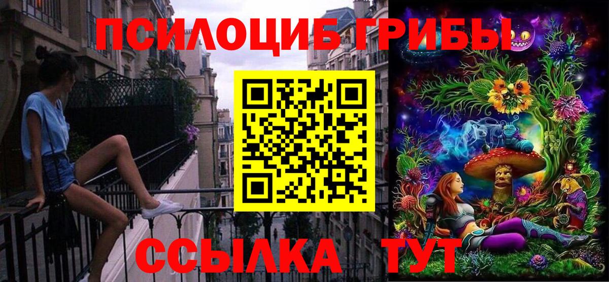 Галлюциногенные грибы Cubensis Грозный